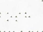 Frases memorables: ciegas