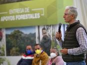 Impulsa alfredo mazo acciones para cuidado bosques mexiquenses, fundamentales mejor medio ambiente