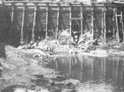 1900:Construcción dique Gamazo