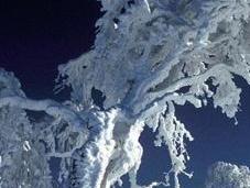 ¿Por nieve blanca?