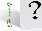 Reto Portadas Participantes