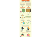 Infografia GNU-Linux