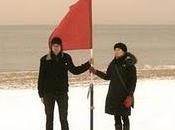 "Clutching Stems" Nuevo Disco Ladybug Transistor