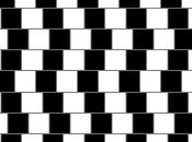 ilusión óptica, ¿Líneas paralelas?