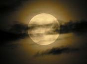 Lunas