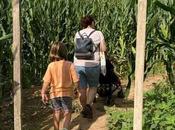 Laberinto maíz Lleida, actividad para toda familia