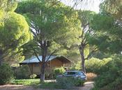 Jabalina Country Tents: Glamping Dehesa Yeguas Cádiz