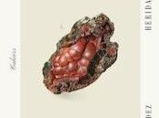RESEÑA: Heridas abiertas.
