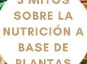 mejores verduras comer para obtener posibilidades reducir envejecimiento