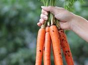 Hojas zanahoria: descúbrelas recetas deliciosas