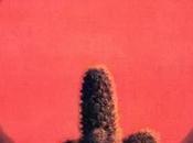Cactus. “Bro. Bill”