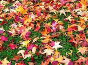 Otoño