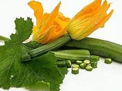 ideas para disfrutar calabacín