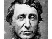 Re-flexiones... 3.295 (pensamiento)