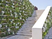 Beneficios muros techos vegetales
