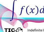 Exercise Indefinite Integral