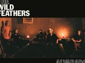 Wild Feathers road (2021)