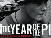 CERDO Year Pig) Emile Antonio