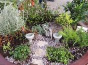 Jardines miniatura