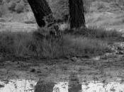 Gotas lluvia