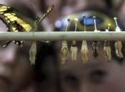 Animales Museo Parque Ciencias Granada