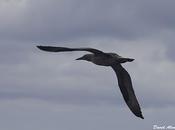 Salida barco para marinas