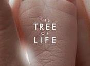 árbol vida (2011), terrence malick. hombre ante universo.