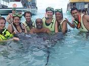 Nadar rayas, Islas Cayman