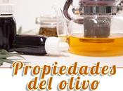 Propiedades olivo para salud
