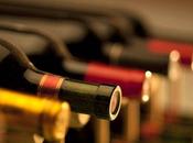 Vinos MasterChef Club