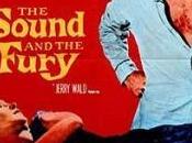 RUIDO FURIA Martin Ritt