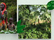 Smoking® consigue objetivo: 150.000 árboles plantados África Subsahariana