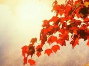 4.820 corren nubes...