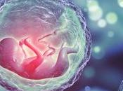 diagnóstico genético preimplantacional puede descartar embriones normales