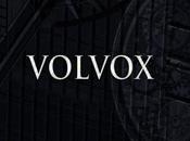 Volvox Universo Expandido (2018)