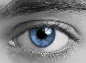 Colores