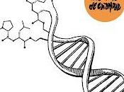 Chaqueta Chándal estrenan Boston California