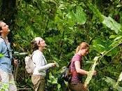 ¿qué buscar para disfrutar naturaleza confort buen hospedaje?