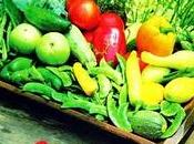 Alimentos Comer para estar Siempre Sano