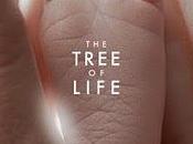 Tree Life Árbol Vida), insuficiente ejercicio estilo