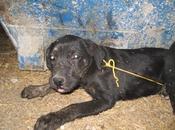 Atadas contenedor. Xenia Sucky menos meses. Granada.