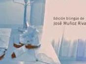 Gozzano poesía italiana contemporánea