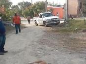 Investigan envenenamiento perros Ciudad Valles
