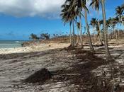 Carpintero discapacitado sobrevive tras tsunami Tonga