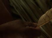 Rotterdam 2022 Parte Buscando raíces