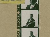 Muddy Waters shook (1962)