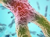 Congreso nacional bioética