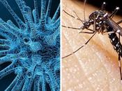 Argentina: Reportan caso “coronadengue”, infección simultánea entre dengue Covid