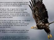 ¿eres águila gallina?