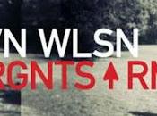 Steven Wilson NSRGNTS RMXS (2009)
